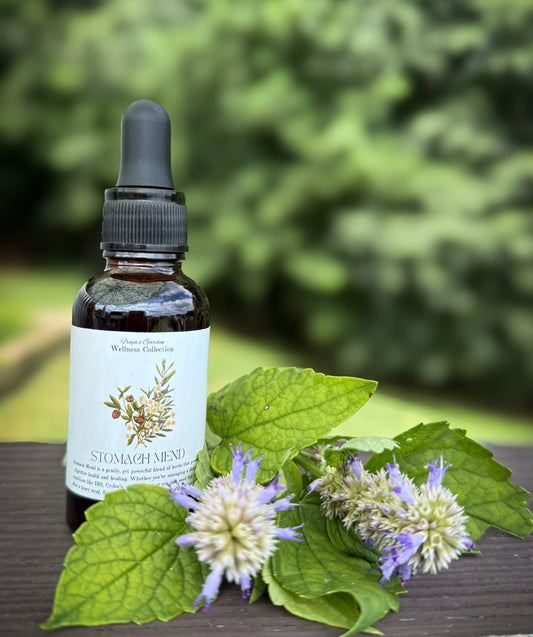 Stomach Mend Tincture