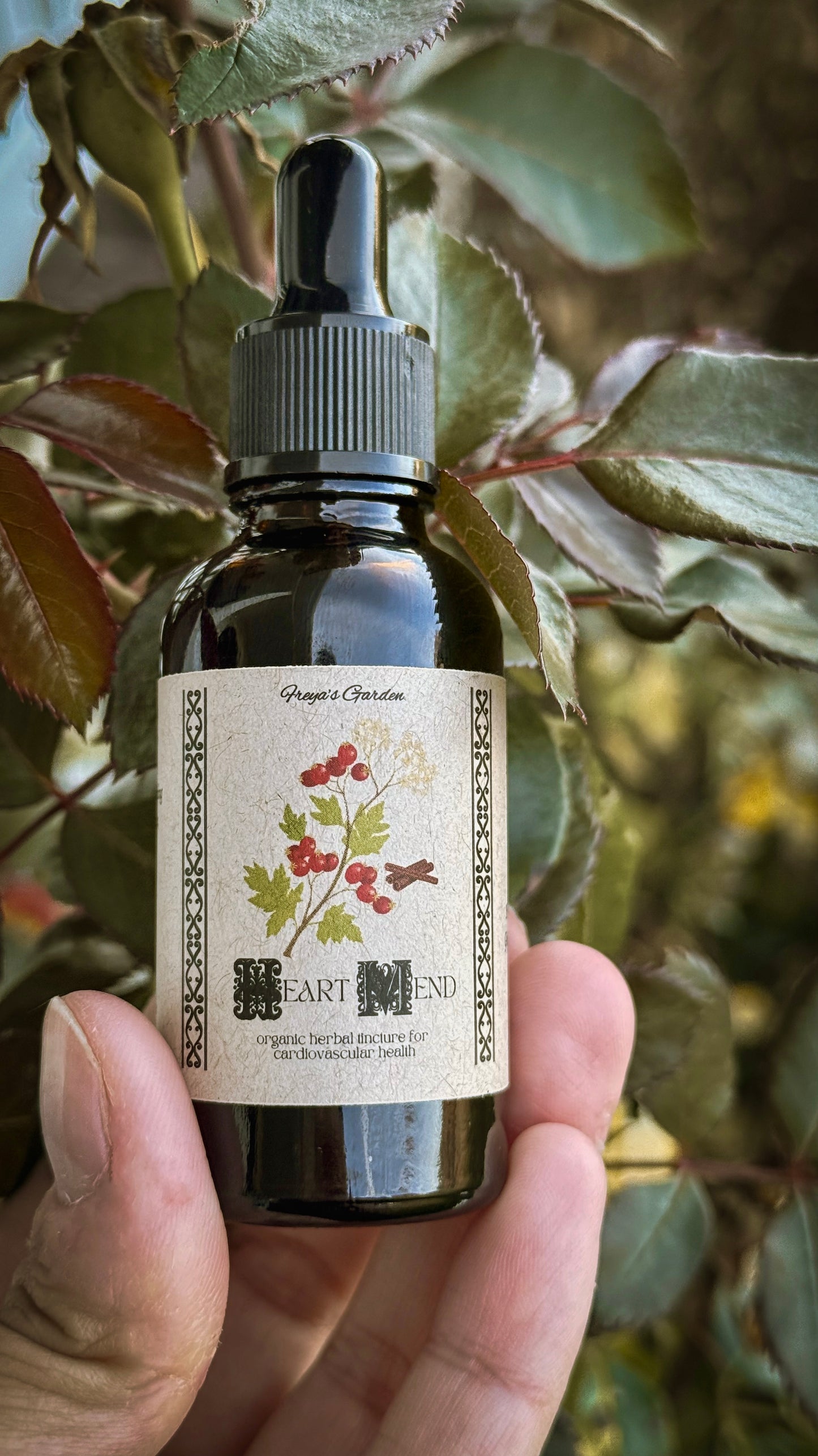 Heart Mend Tincture